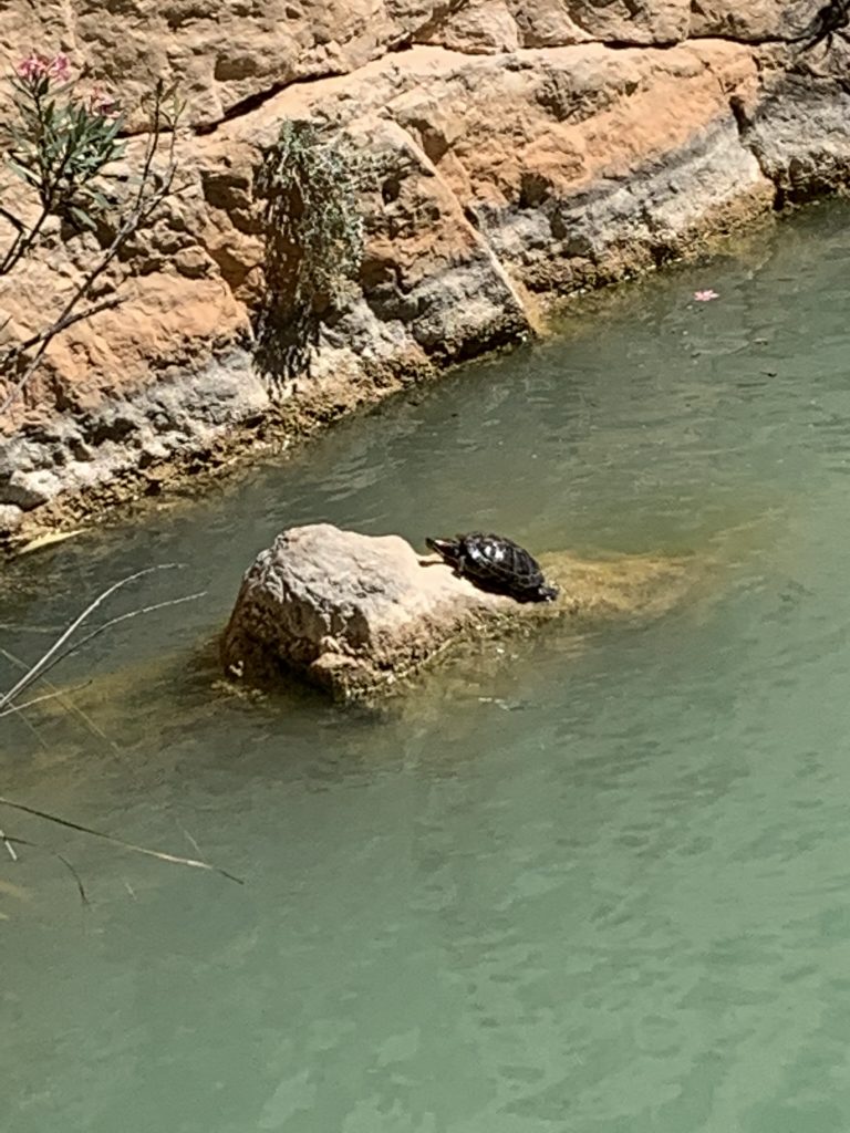 Senderismo Charco Azul Chulilla Valencia by Serranía Aventura