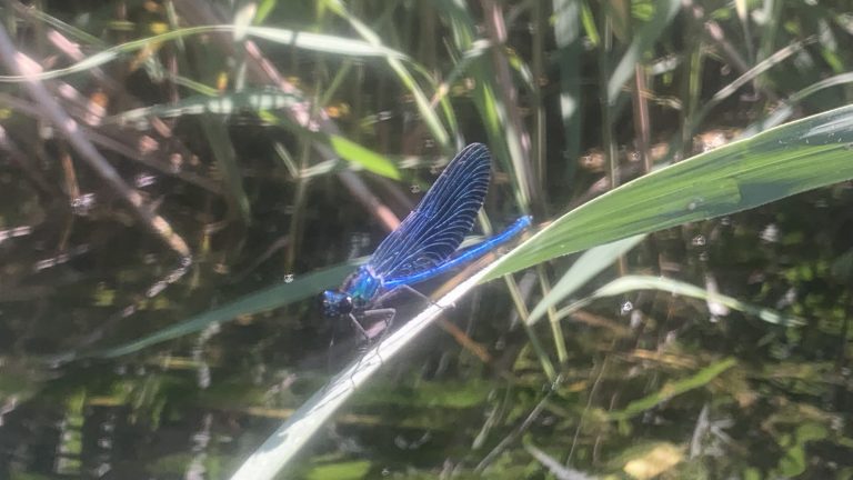 Taller de naturaleza by Serranía Aventura