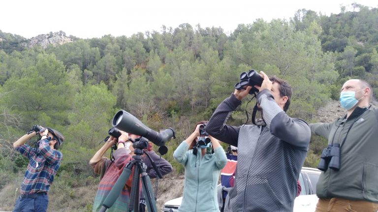 Taller fauna birdwatching by Serranía Aventura