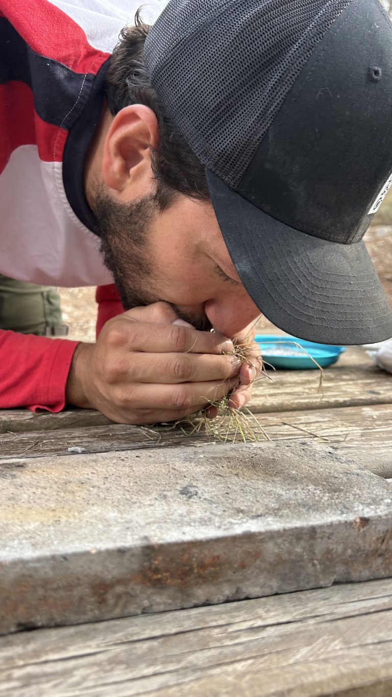 Supervivencia fuego by Serranía Aventura