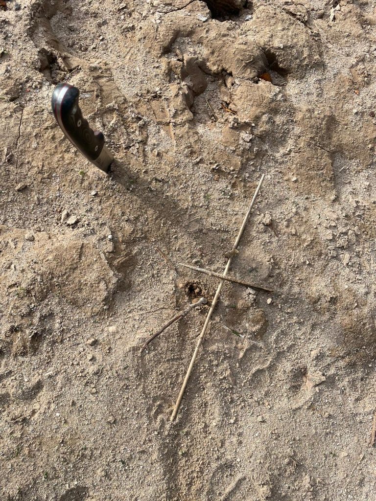 Supervivencia by Serranía Aventura