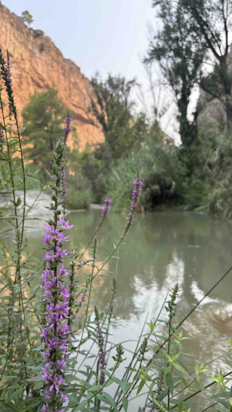 Senderismo Charco Azul Chulilla Valencia by Serranía Aventura