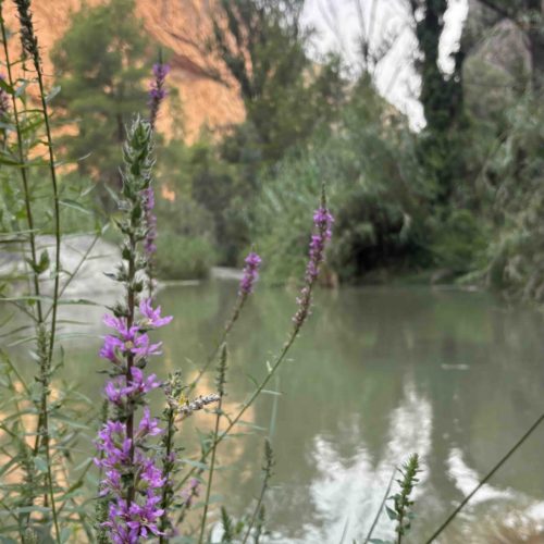 Senderismo Charco Azul Chulilla Valencia by Serranía Aventura