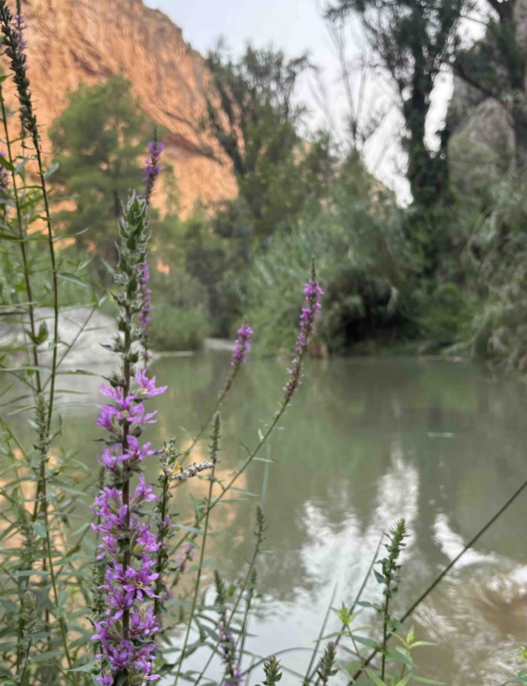 Senderismo Charco Azul Chulilla Valencia by Serranía Aventura