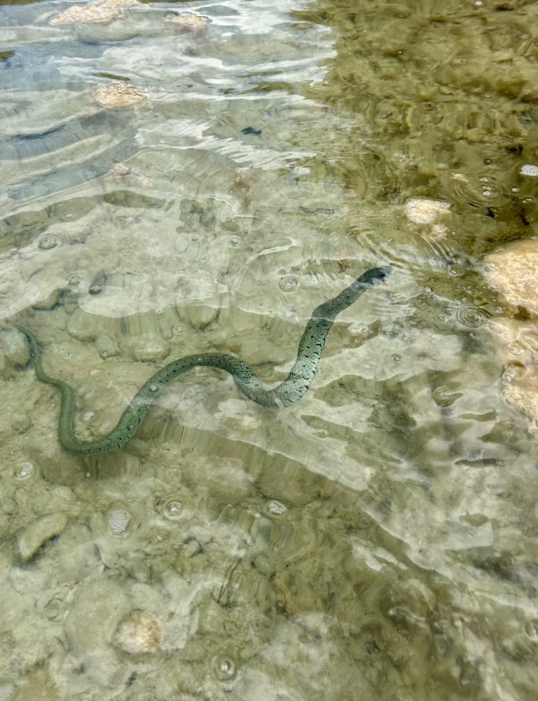 Barranquismo río Fraile Bicorp Valencia by Serranía Aventura