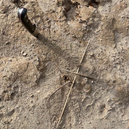 Supervivencia by Serranía Aventura